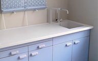 Laboratory sink